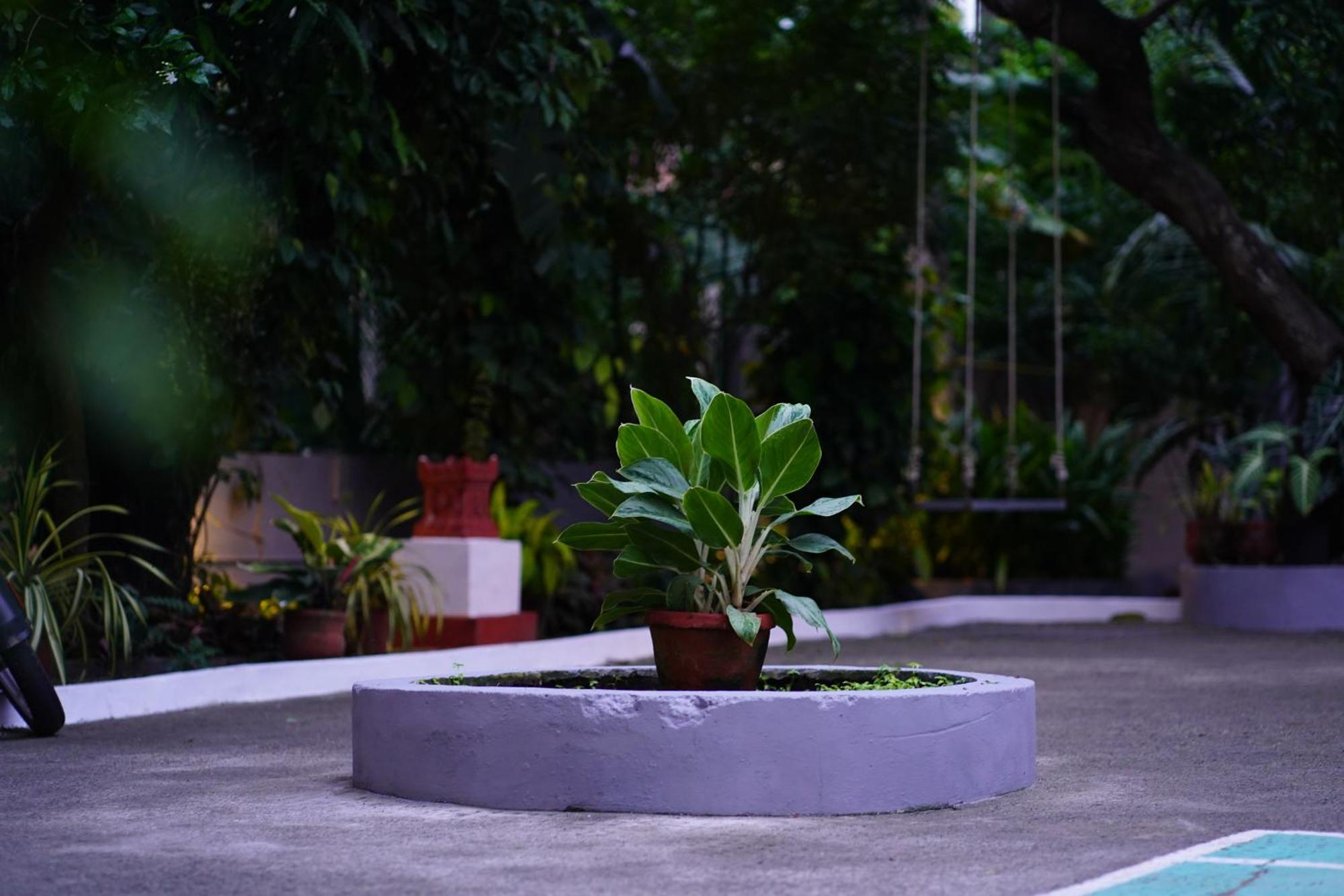 Remasailam Homestay - Thiruvananthapuram , Calm & Blend With Nature Εξωτερικό φωτογραφία